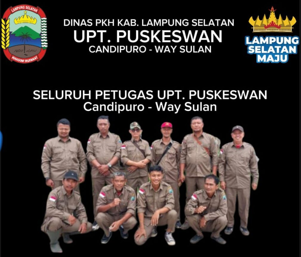 Melayani Jasa Kawin Suntik & Kesehatan Hewan Ternak Sapi dan Kambing di Lampung Selatan.